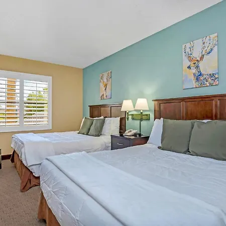 Near Disney - 1Br With Two Queen Beds - Pool And Hot Tub Apartment